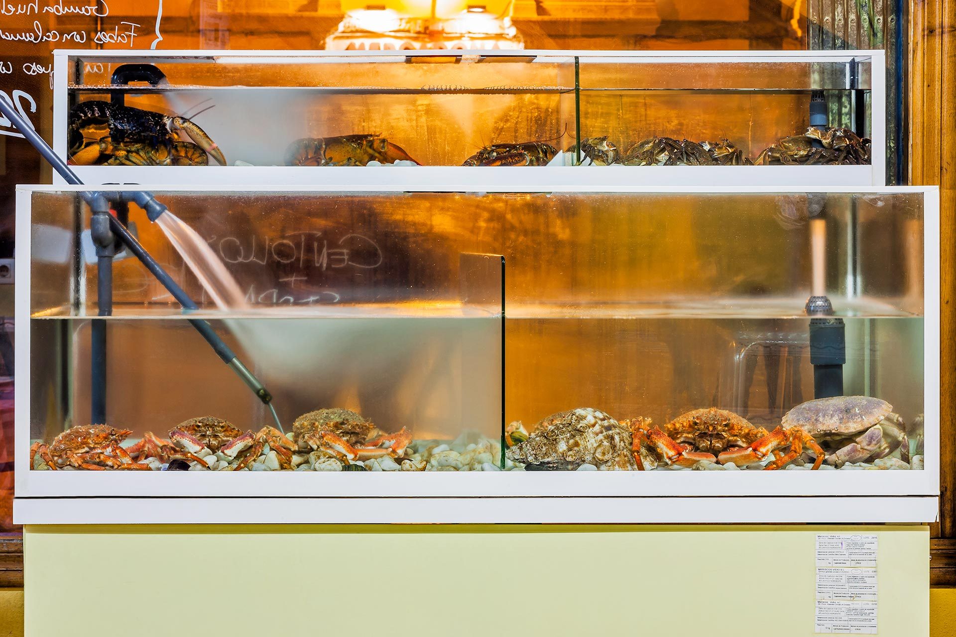 Shellfish farm at Casa Ramón Restaurant in Oviedo